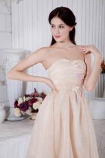 Sweetheart Champagne Graduation Short Dress With Applique