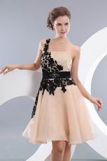 Champagne Sweet 16 Dress With Side Black Applique