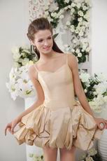 Champagne Spaghetti Straps Bowknot Decorate Cocktail Dress