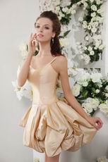 Champagne Spaghetti Straps Bowknot Decorate Cocktail Dress