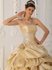 Side Applique Champagne Handmade Quinceanera Dress to Girl