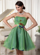 Green Cute Organza Cocktail Dress With Handmade Flower Waistline Unique