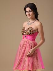 Leopard Printed Hot Pink 15th Birthday For Young Girls