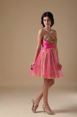 Leopard Printed Hot Pink 15th Birthday For Young Girls