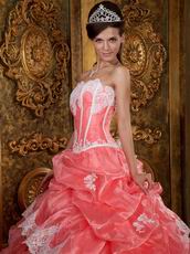 Waltermelon Ruffles Skirt Quinceanera Dress With Applique