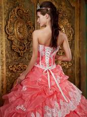 Waltermelon Ruffles Skirt Quinceanera Dress With Applique