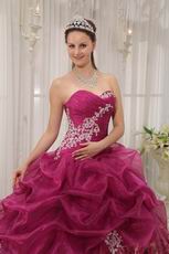 Ruby Red Designer Newest Quince Dress With Leopard Fabric