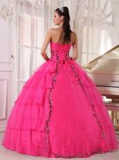 Deep Pink Organza Paillette Puffy Skirt Quinceanera Girls Dress