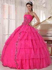 Deep Pink Organza Paillette Puffy Skirt Quinceanera Girls Dress