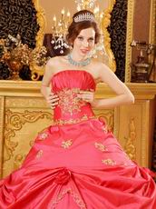 Coral Pink Girl Quinceanera Dress With Golden Applique