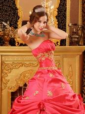 Coral Pink Girl Quinceanera Dress With Golden Applique