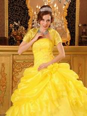 Bright Yellow Embroidery Quinceanera Dress With Jacket