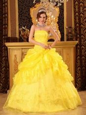 Bright Yellow Embroidery Quinceanera Dress With Jacket