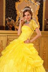 Bright Yellow Embroidery Quinceanera Dress With Jacket