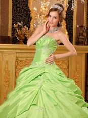 Spring Green Strapless Embroidery Decorate Quinceanera Dress