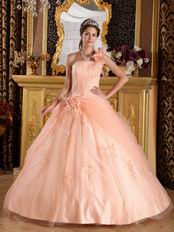 Light Orange Single Shoulder Handmade Flowers Quinceanera Gown