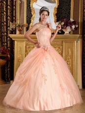 Light Orange Single Shoulder Handmade Flowers Quinceanera Gown