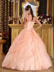 Light Orange Single Shoulder Handmade Flowers Quinceanera Gown