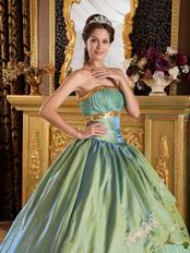 Strapless Appliques Celadon Green Adult Ceremony Dress