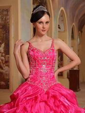 Spaghetti Straps Hot Pink 2014 Embroidery Quinceanera Dress