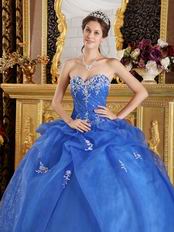 Blue Organza Appliqued Winter Quinceanera Dress Sweetheart