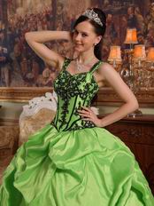 Appliqued Spring Green Quinceanera Dress Like A Princess