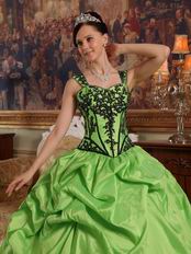 Appliqued Spring Green Quinceanera Dress Like A Princess