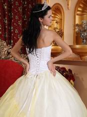 White Embroideried Flower Lovely Quinceanera Dress Gowns