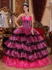 Zebra Boidce Multi-color Layers Skirt Ebay Quinceanera Dress