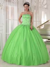 Cheap Spring Green Young Women Quinceanera Gown Dress