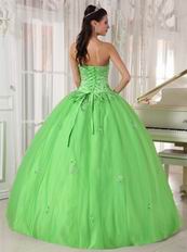 Cheap Spring Green Young Women Quinceanera Gown Dress