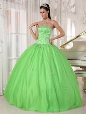 Cheap Spring Green Young Women Quinceanera Gown Dress