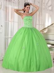 Cheap Spring Green Young Women Quinceanera Gown Dress