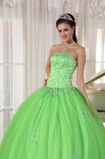 Cheap Spring Green Young Women Quinceanera Gown Dress