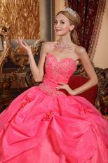 Classical Sweetheart Styles Coral Red Winter Quinceanera Dress