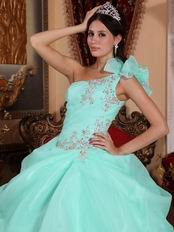 One Shoulder Aqua Blue Organza Puffy Quinceanera Dress