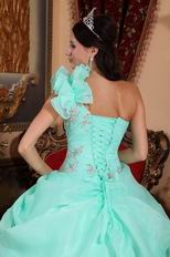 One Shoulder Aqua Blue Organza Puffy Quinceanera Dress