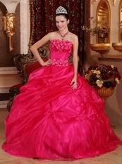 Sleeveless Fuchsia Organza Winter Warm Quinceanera Dress