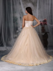 Sweetheart Neck A-line Champagne Wedding Dress Puffy Low Price