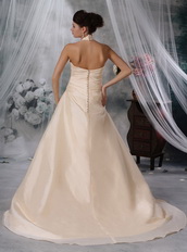 Champagne Bridal Wedding Dress With A-Line Halter Skirt Low Price