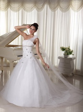 One Shoulder Wedding Gown Watteau Train With Appliques Bodice Low Price