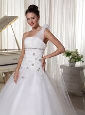 One Shoulder Wedding Gown Watteau Train With Appliques Bodice Low Price