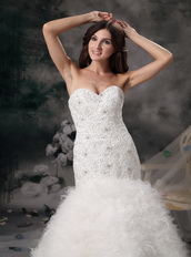 Elegant Mermaid Wedding Dress With Feather Emberllishments Low Price