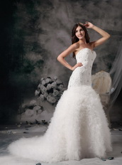 Elegant Mermaid Wedding Dress With Feather Emberllishments Low Price