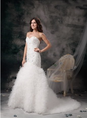 Elegant Mermaid Wedding Dress With Feather Emberllishments Low Price