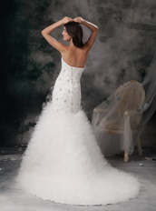 Elegant Mermaid Wedding Dress With Feather Emberllishments Low Price