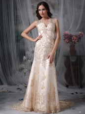 Mermaid Bridal Dress With Champagne Appliques Details Low Price