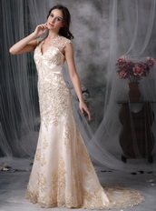 Mermaid Bridal Dress With Champagne Appliques Details Low Price