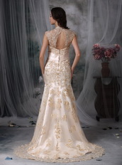 Mermaid Bridal Dress With Champagne Appliques Details Low Price