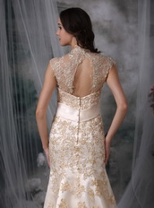 Mermaid Bridal Dress With Champagne Appliques Details Low Price